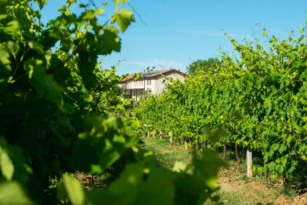 Relais La Dolce Vite Villa San Vendemiano Екстериор снимка