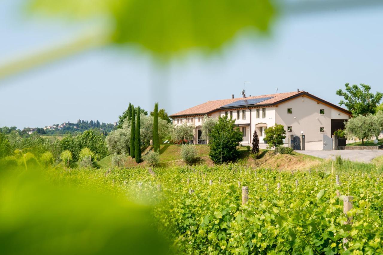 Relais La Dolce Vite Villa San Vendemiano Екстериор снимка